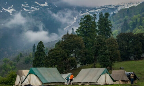 Camping "Pod gwiazdami"